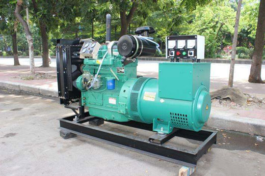 畜禽良种场发电机不发电的原因 畜禽良种场发电机不发电的原因